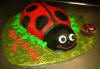 Birthday Cakes Orlando Florida