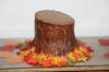 Orlando Groom Cake - 6