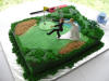Orlando Groom Cake - 14