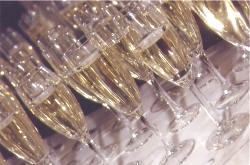 rent champagne flutes orlando florida